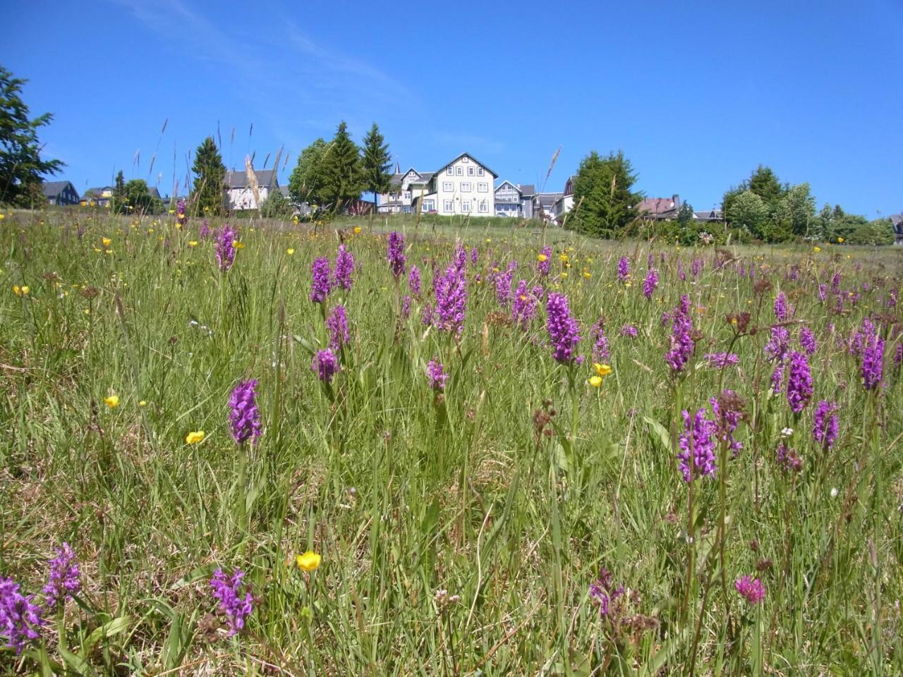 Hotel Schoene Aussicht Masserberg Extérieur photo